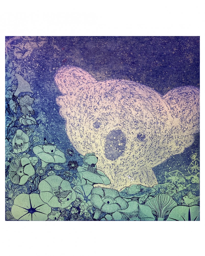 kcommekoala_01.jpg