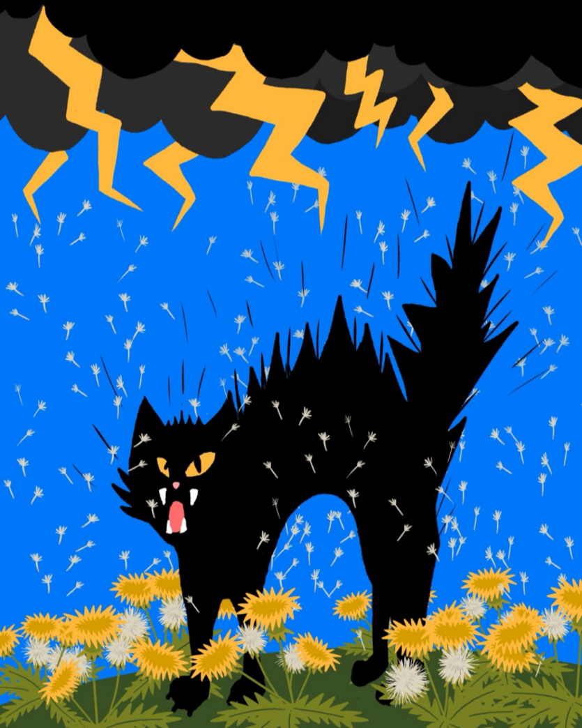 006.png